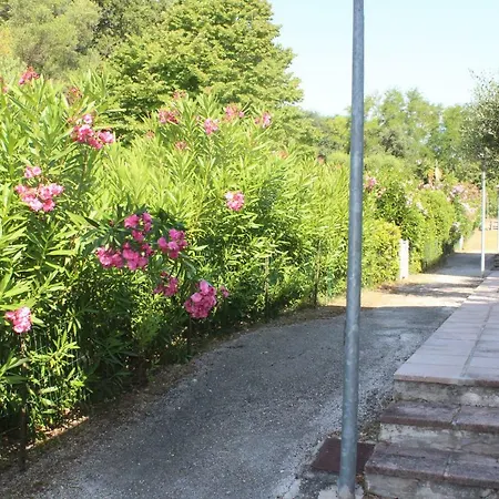Bilo Frank - Delizioso Bilocale Con Terrazzo Vista Mare Apartment